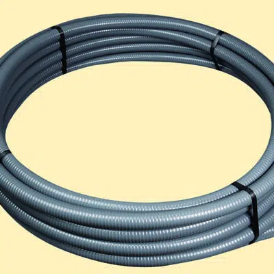 Szürke csigatömlő